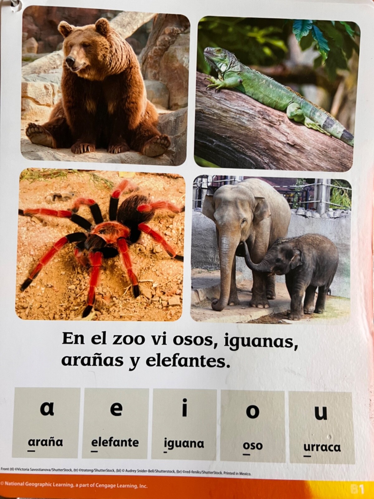 National Geographic Spanish FlashcardsCard-Used