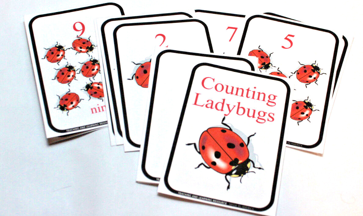 Preschool – 12 cards – Ladybug Counting Cards – Pre school Kindergarten Math