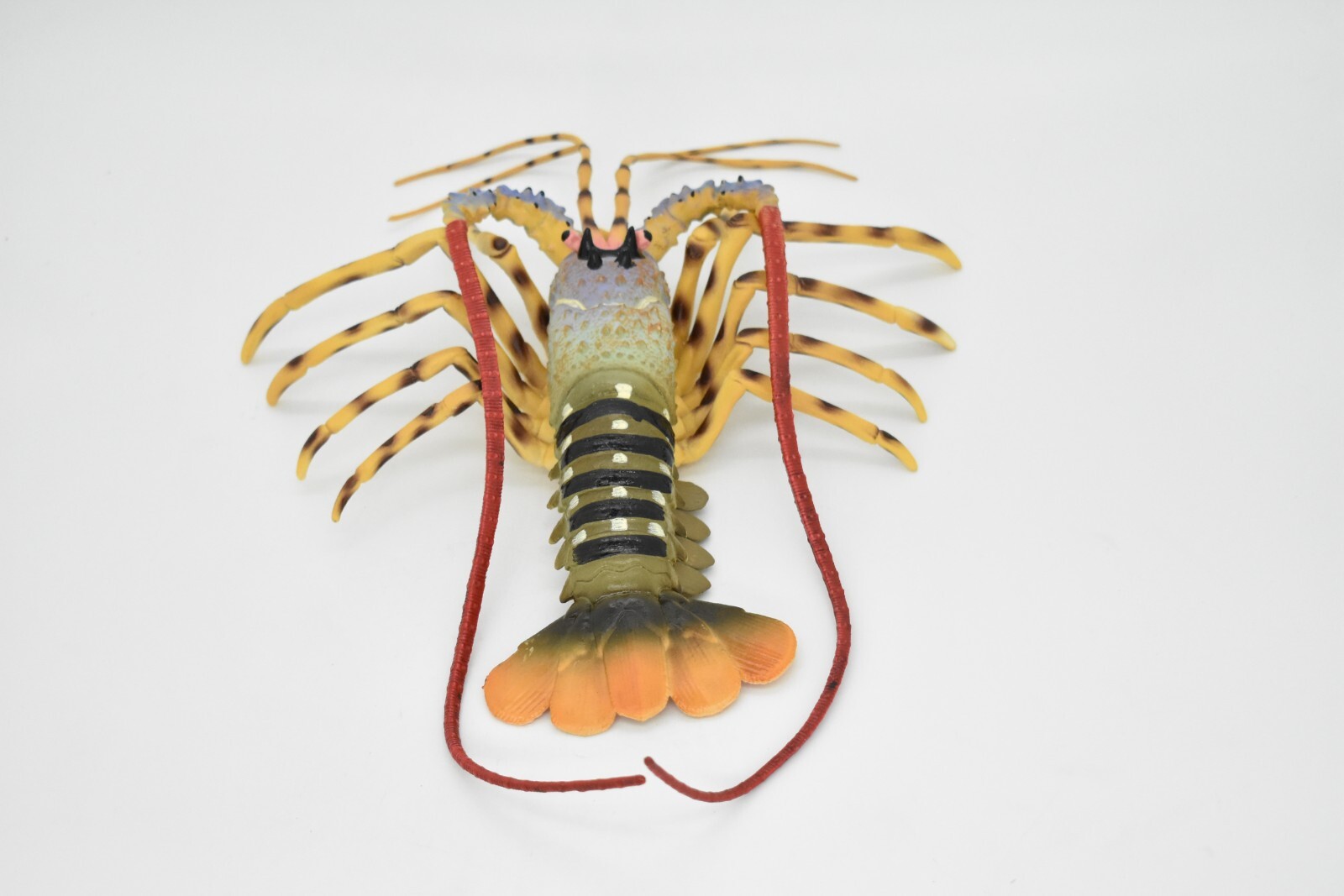 Lobster Toy, Pacific, Australian, Educational Realistic Rubber Model, Figure 12″