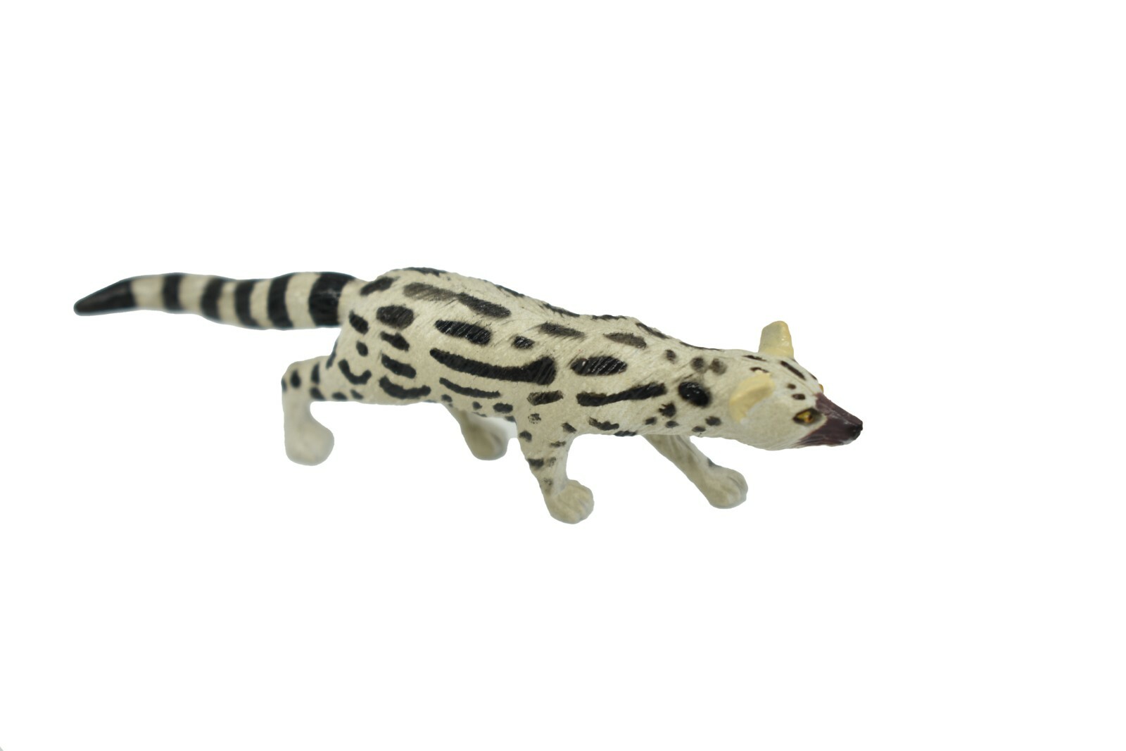 Genet Abyssinian, Ethiopian Plastic Replica 3 inch – F1070 B175