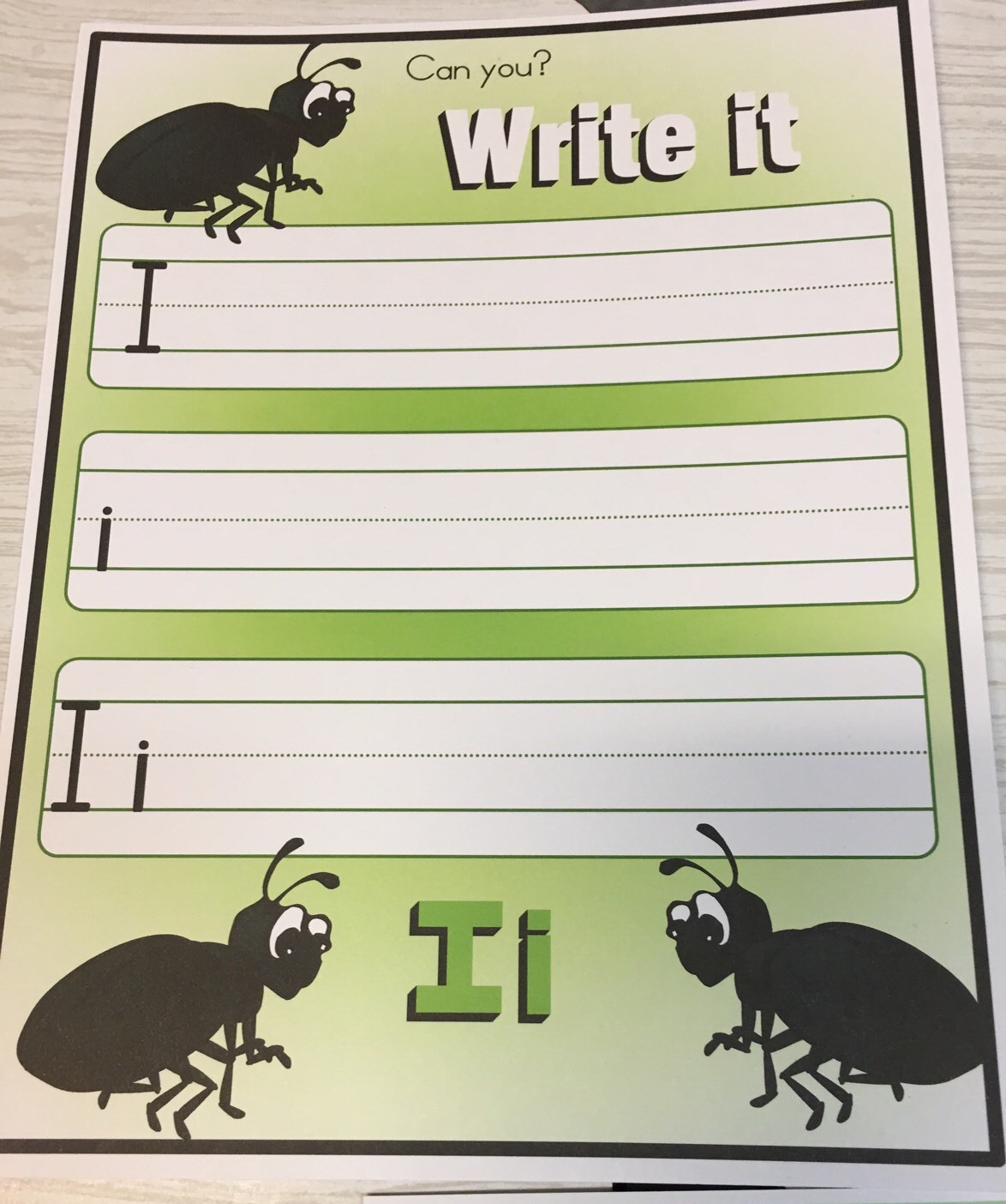 INSECTS-THEMED Learning Activities Package LAMINATED preschool Daycare