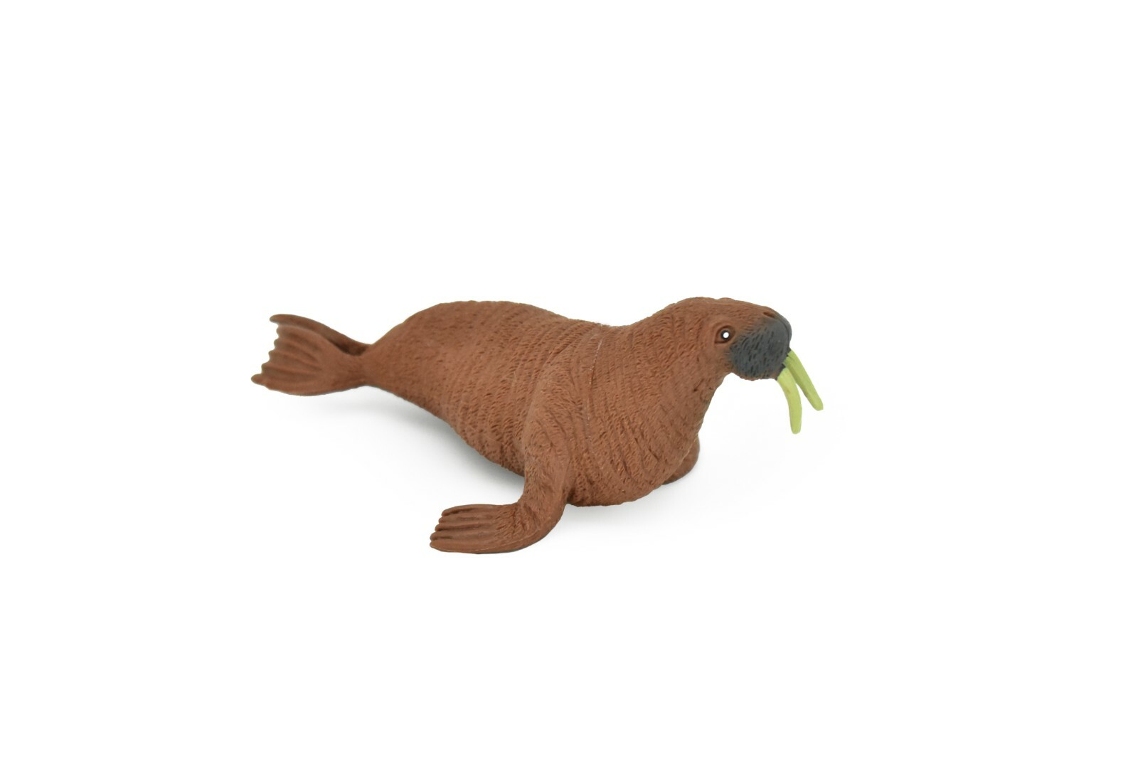 Walrus, Very Nice Plastic Replica 5″ CWG89 B239