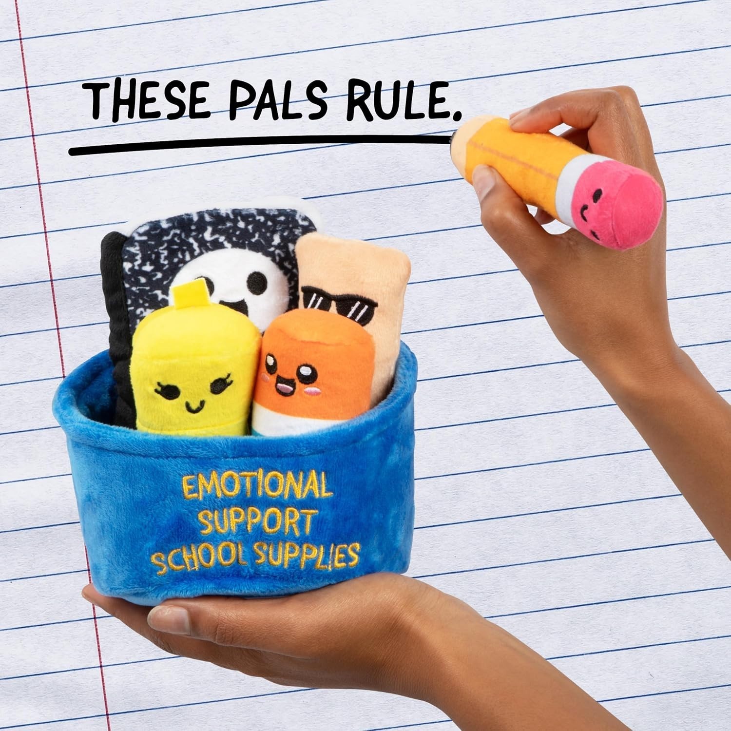 NEW Emotional Support School Supplies Stuffed Squishy Toys with Carrying Basket