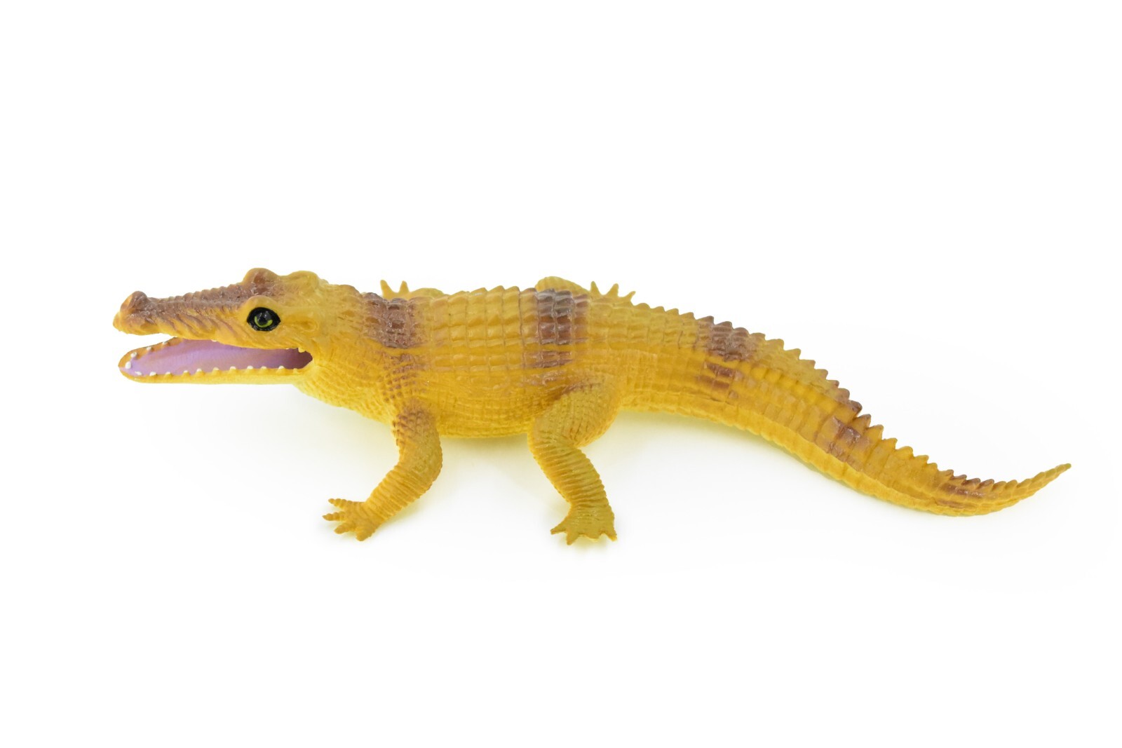 Freshwater Crocodile Alligator Plastic Toy Reptile Realistic Model 7″ F8126