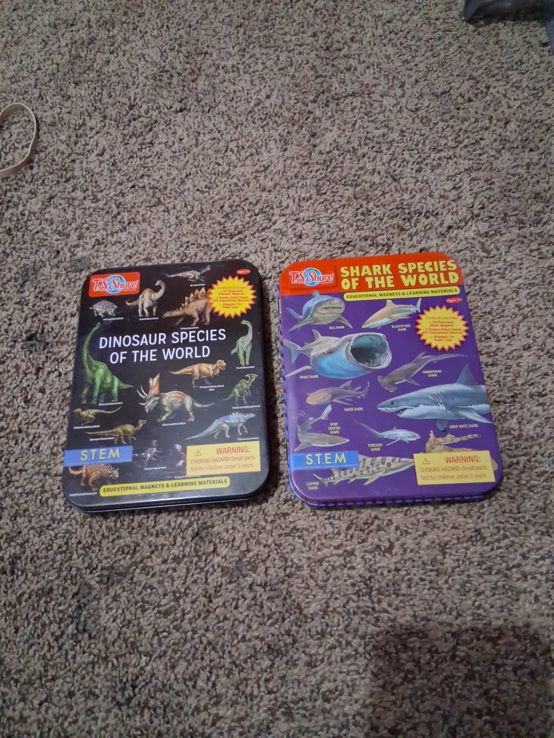 Dinosaur Species of World T.S.Shure Educational Magnets STEM Shark Species Lot
