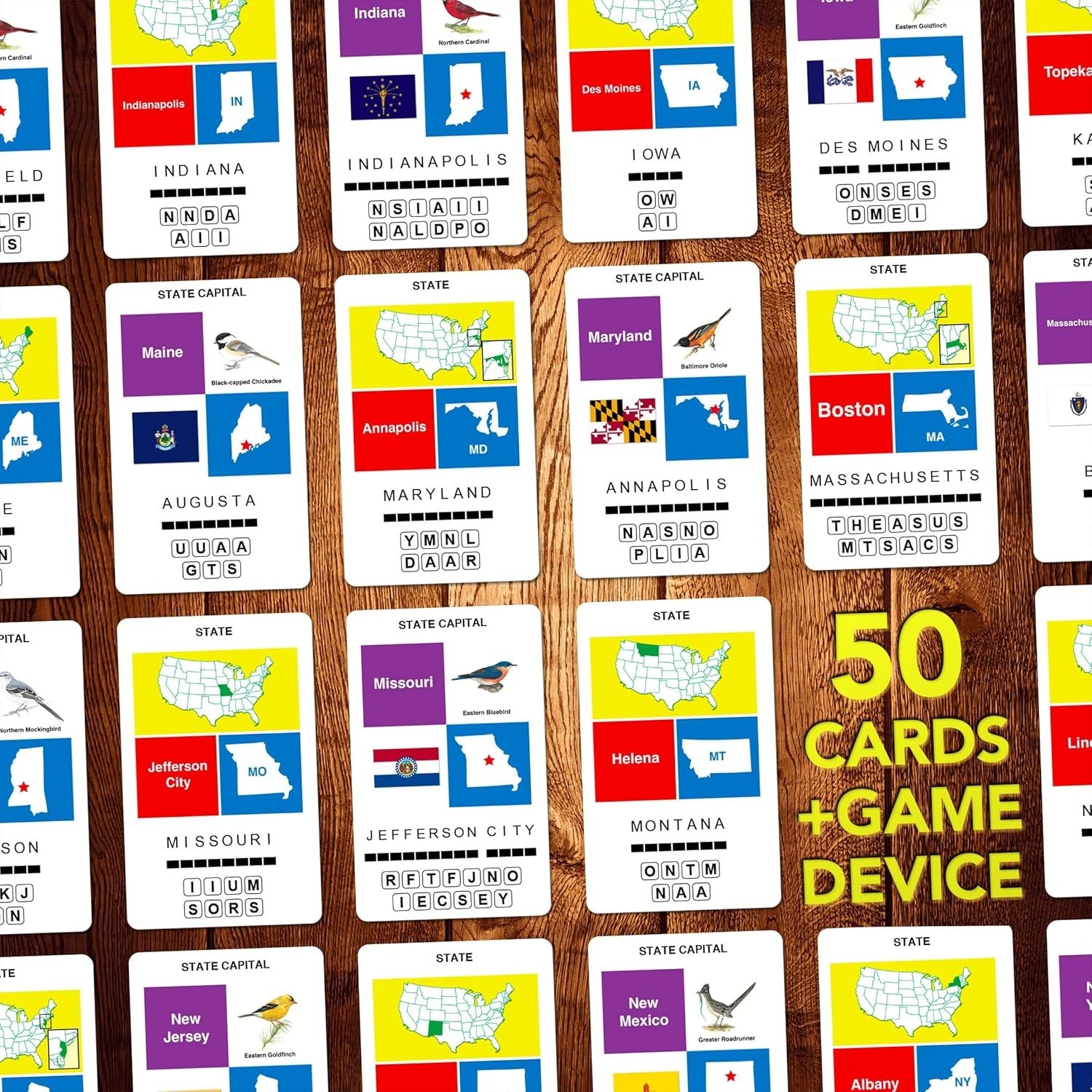 States & Capitals Flash Cards | All 50 States and Capitals to Learn | Fun and…