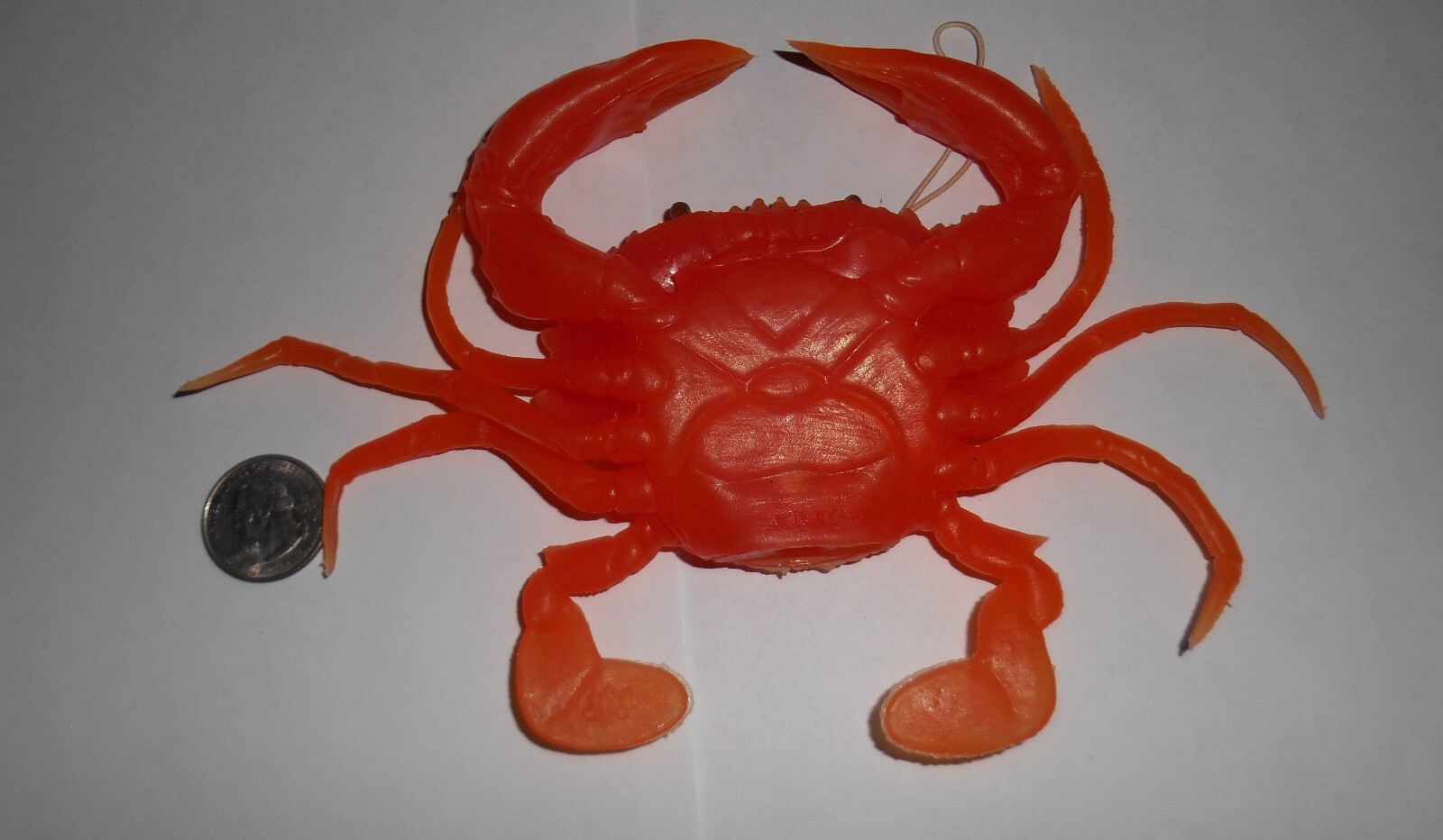 8″ Crab Orange Rubber Squeaking Dangler Jiggler Toy