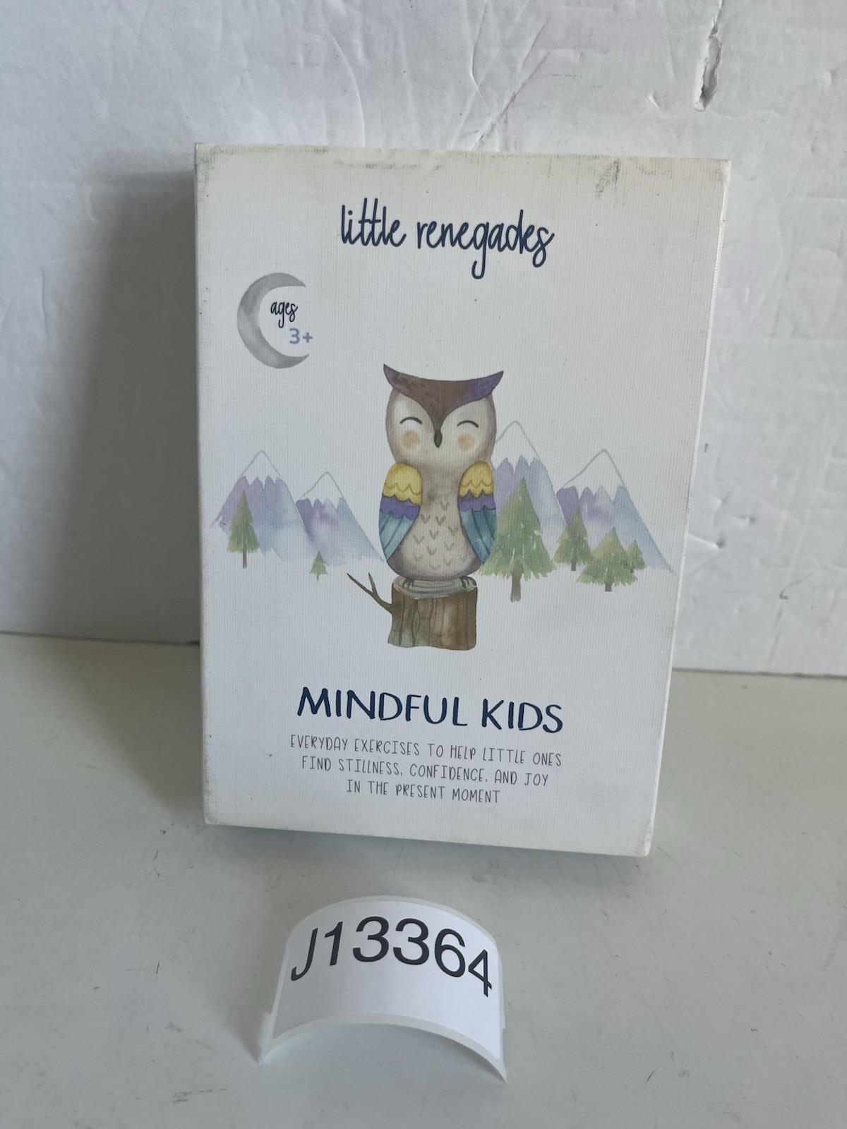 Little Renegades Mindful Kids Cards Ages 3+ Eveyday Exercises of Mindfulness