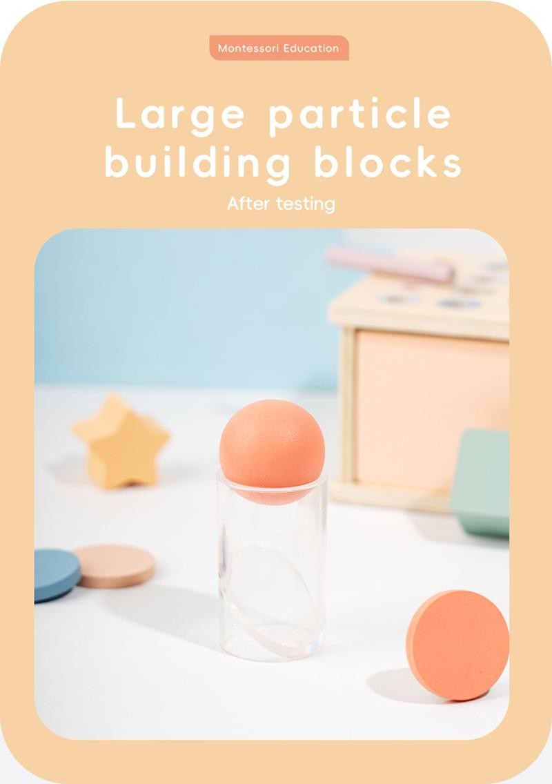 Montessori Wooden Sorting Blocks Color Shape Matching Educational Kids Early Toy