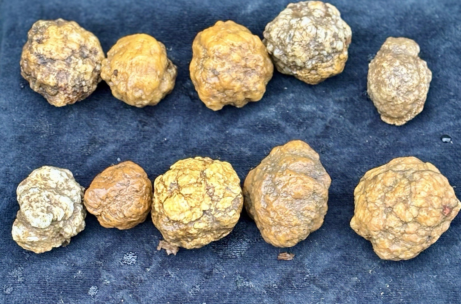 Lot of 10 Small Unopened Geodes | Natural Crystal Rock Specimens Break-Your-Own