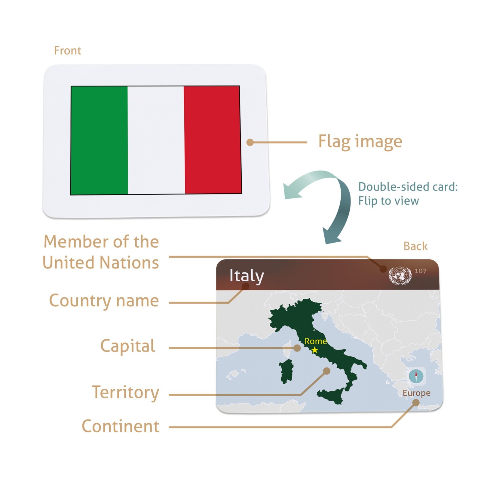 Flags of the World Educational Flashcards